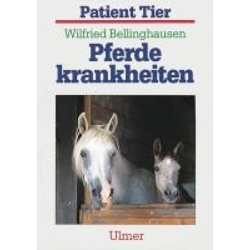 9783800173501 - Pferdekrankheiten - Wilfried Bellinghausen Kartoniert (TB)