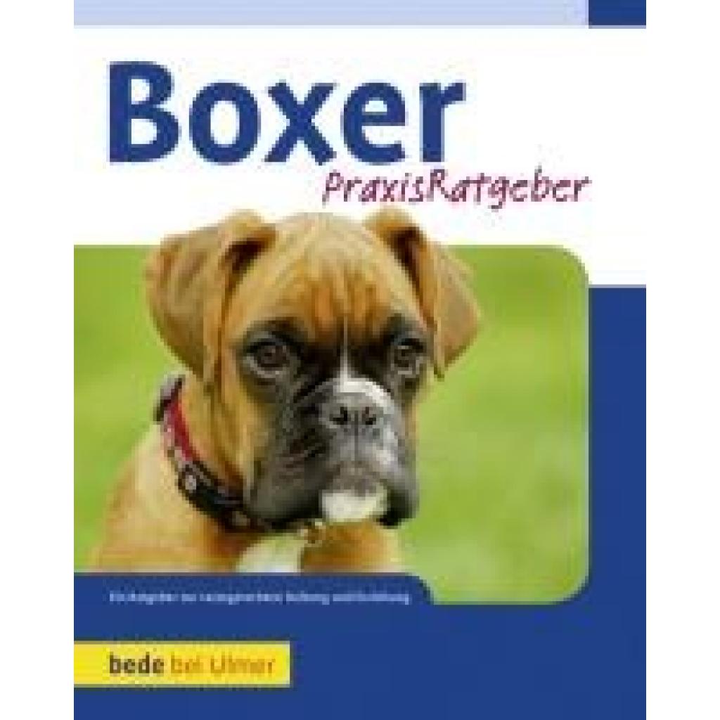 9783800169153 - Praxisratgeber Boxer - Manuel Fritz Gebunden