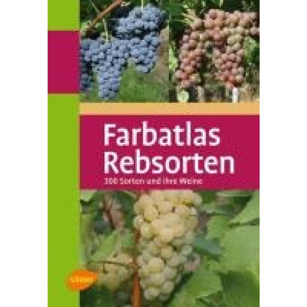 9783800159574 - Farbatlas Rebsorten - Hans Ambrosi Gebunden