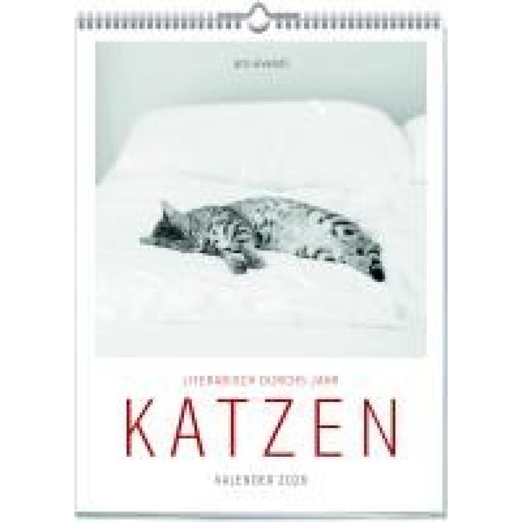 9783747206904 - Ars Vivendi Katzen - Literarisch durchs Jahr 2026