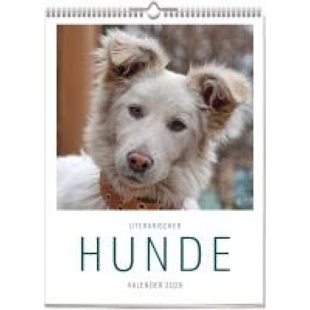 9783747206898 - Ars Vivendi Literarischer Hunde - Kalender 2026
