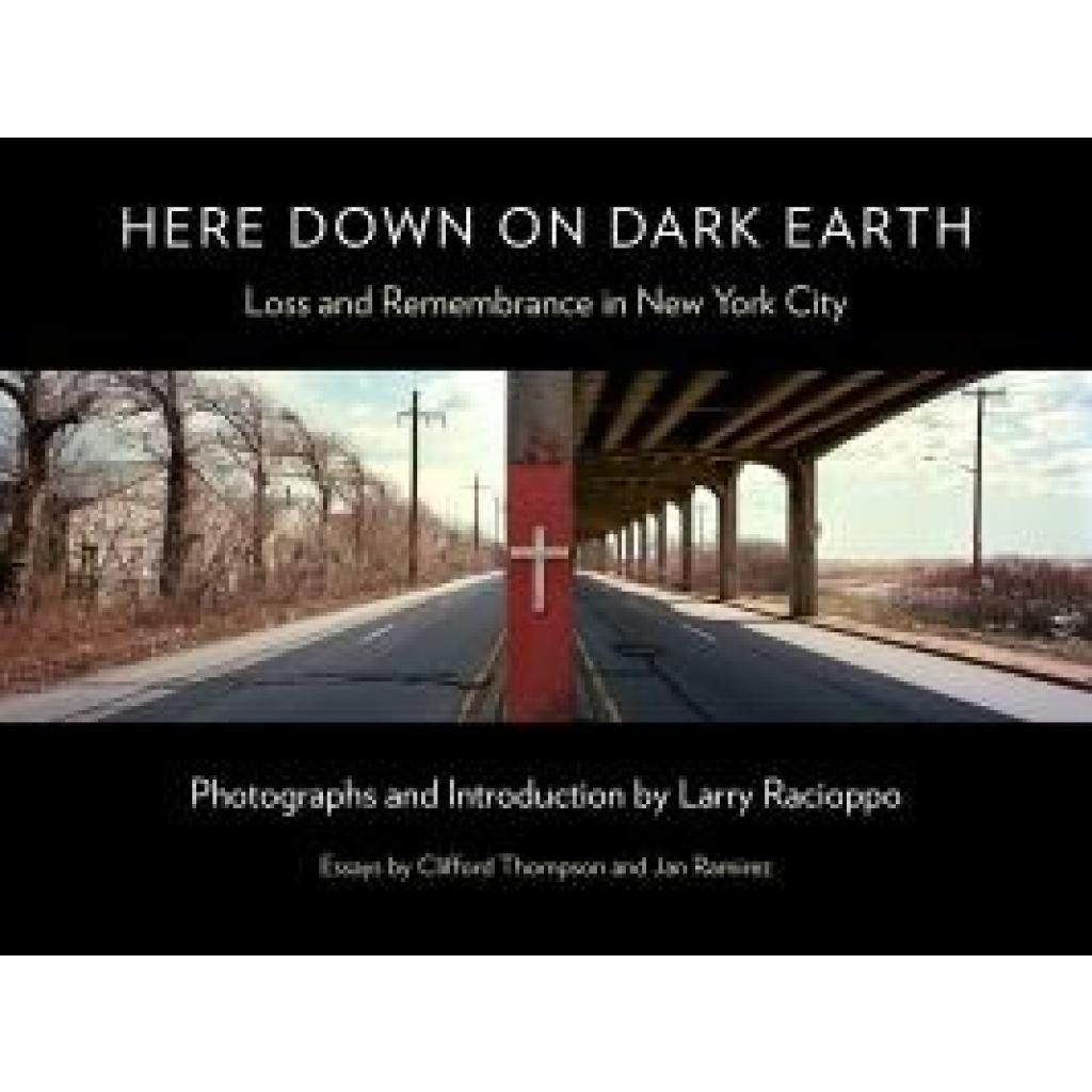 9781531509491 - Here Down on Dark Earth
