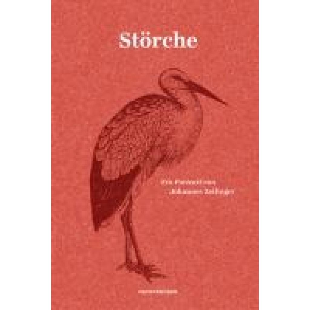 9783751840248 - Zeilinger Johannes Störche