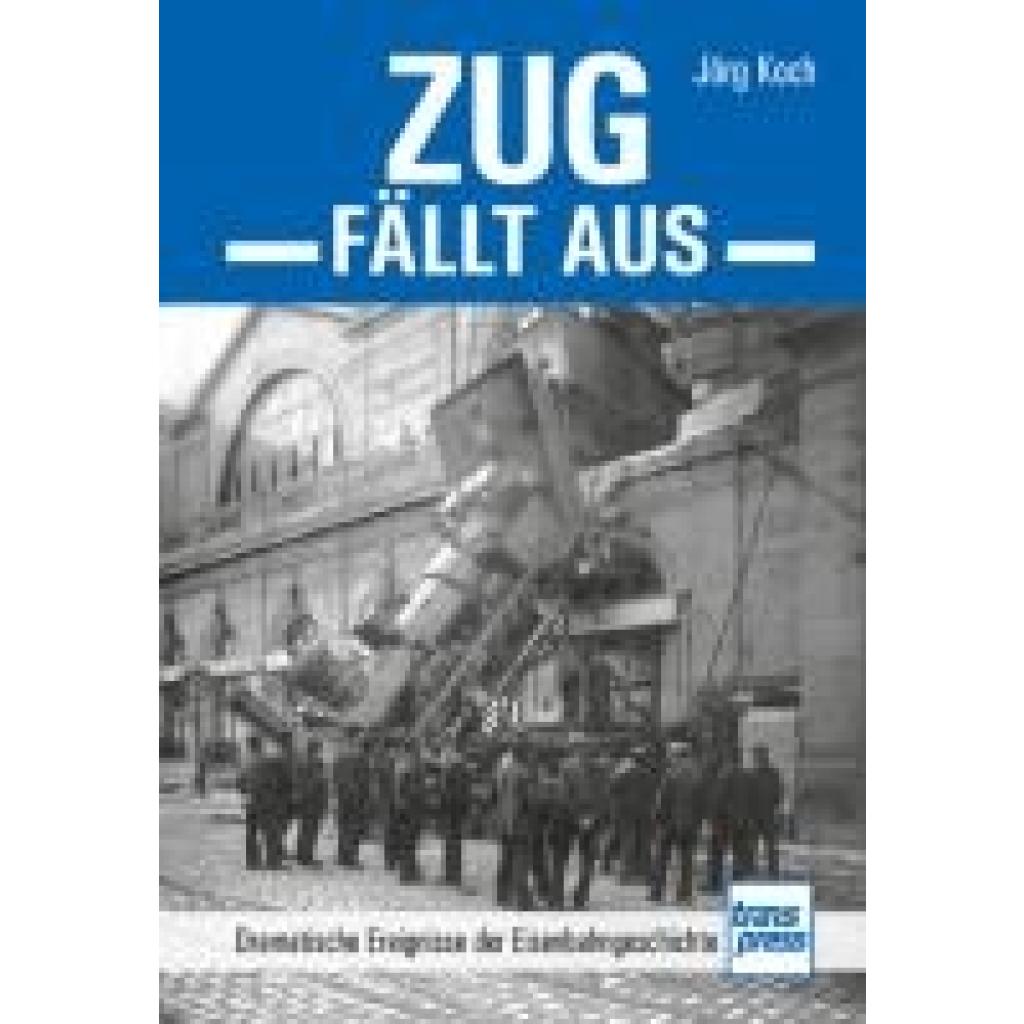 9783613717404 - Koch Jörg Zug fällt aus