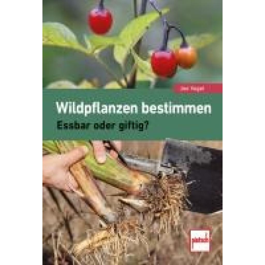 9783613509924 - Vogel Joe Wildpflanzen bestimmen