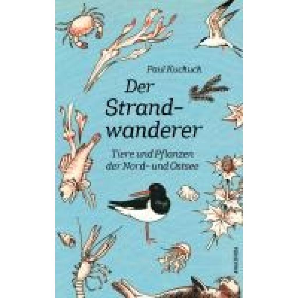 9783730614303 - Kuckuck Paul Der Strandwanderer Tiere und Pflanzen der Nord- und Ostsee