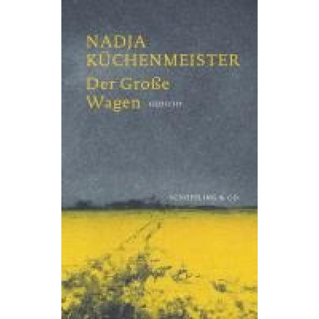9783895614132 - Küchenmeister Nadja Der Große Wagen