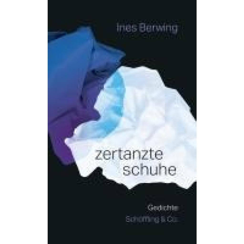 9783895612916 - Berwing Ines zertanzte schuhe