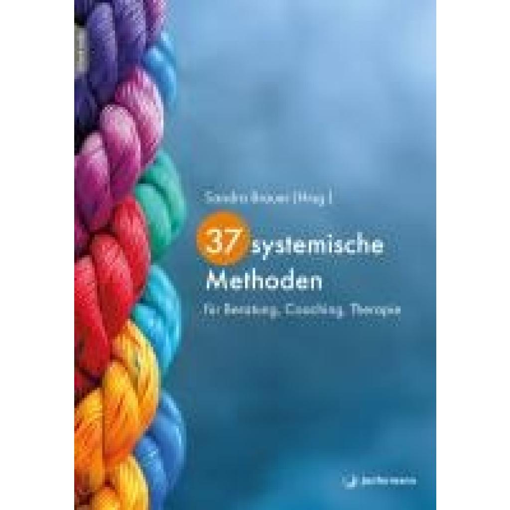 9783749506415 - Brauer Sandra 37 systemische Methoden