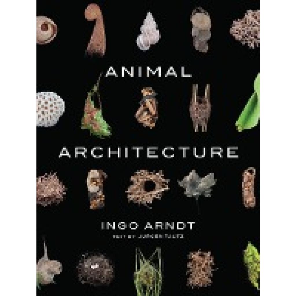 9781419711657 - Animal Architecture - Ingo Arndt Jürgen Tautz Gebunden
