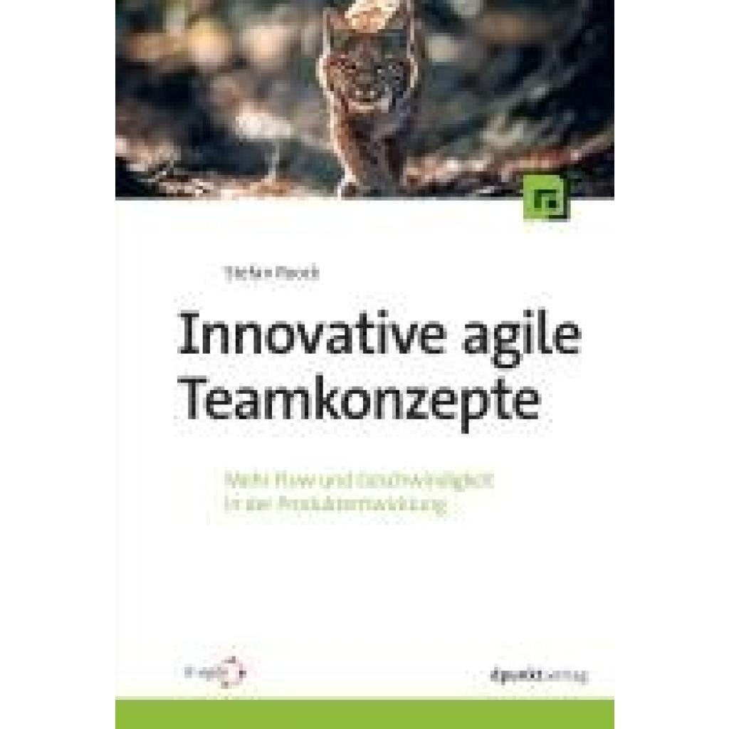 9783988890375 - Roock Stefan Innovative agile Teamkonzepte