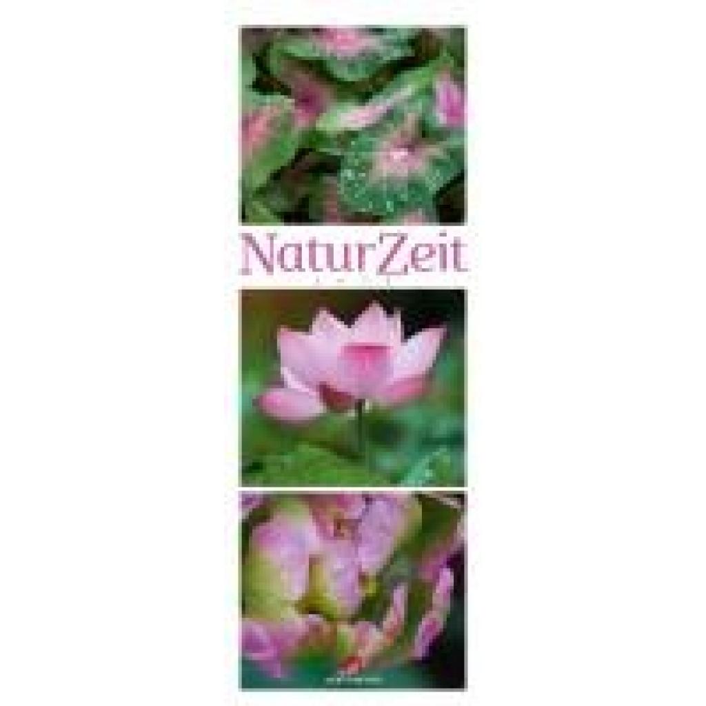 9783838436098 - NaturZeit Triplet-Kalender 2026