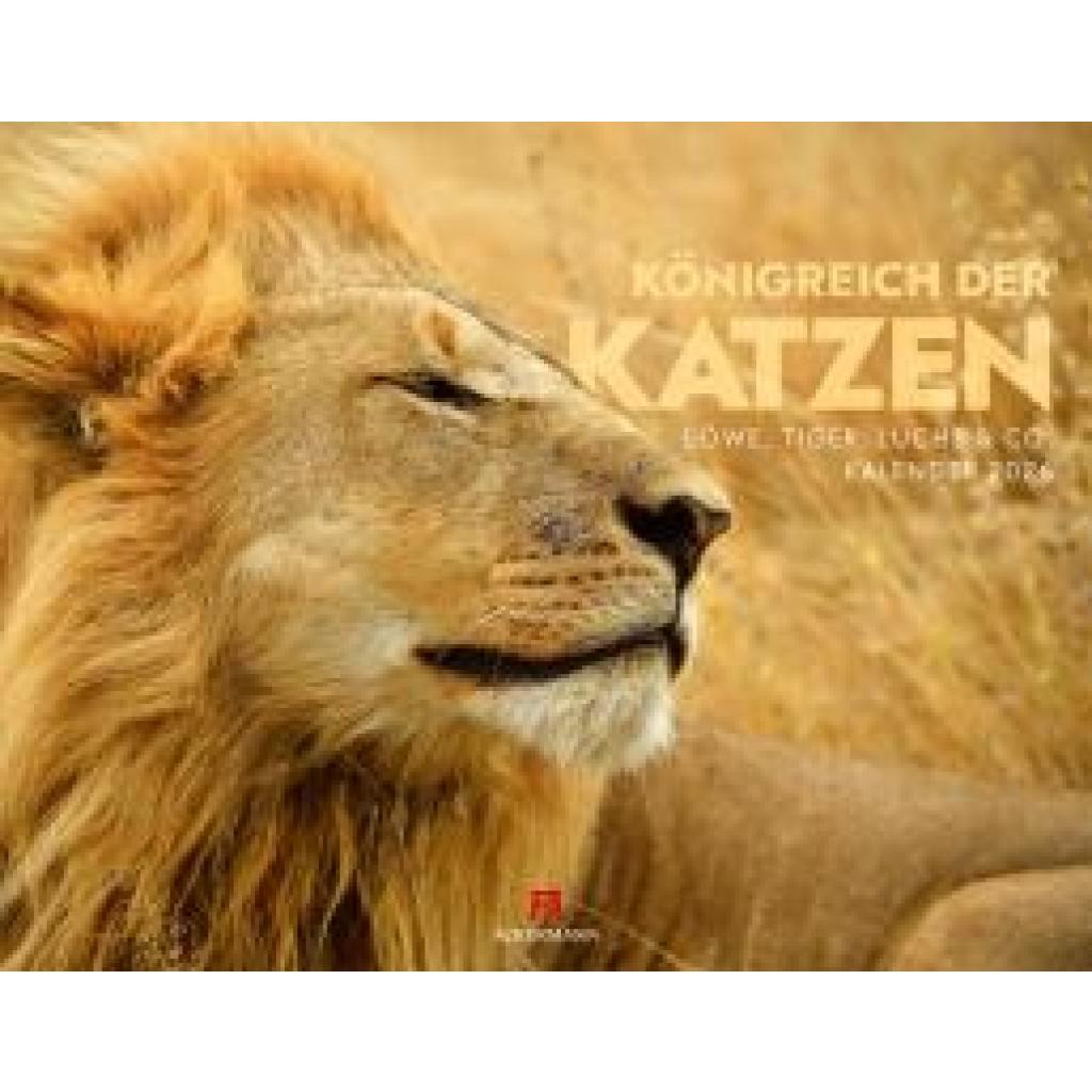9783838436081 - Königreich der Katzen Kalender 2026 | Löwe Tiger Luchs & Co