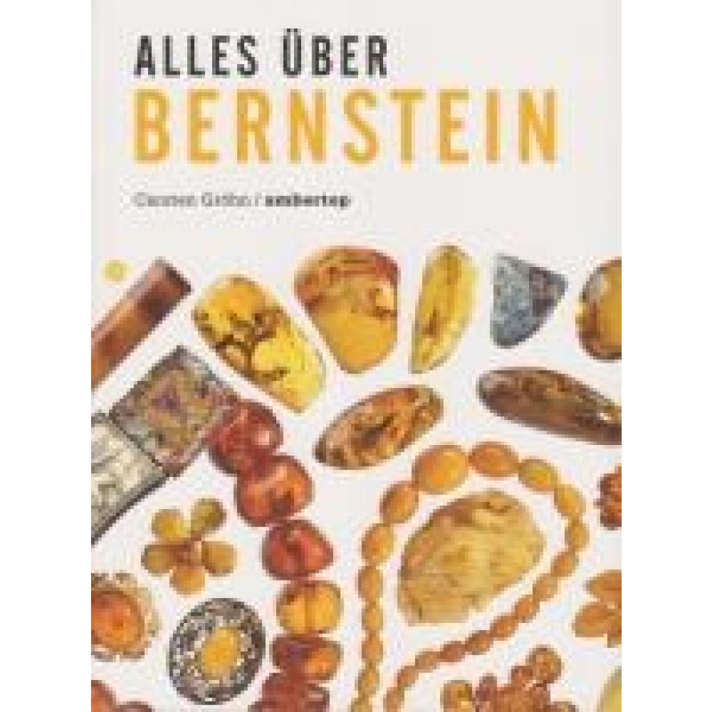 9783730821459 - Ambertop Alles über Bernstein