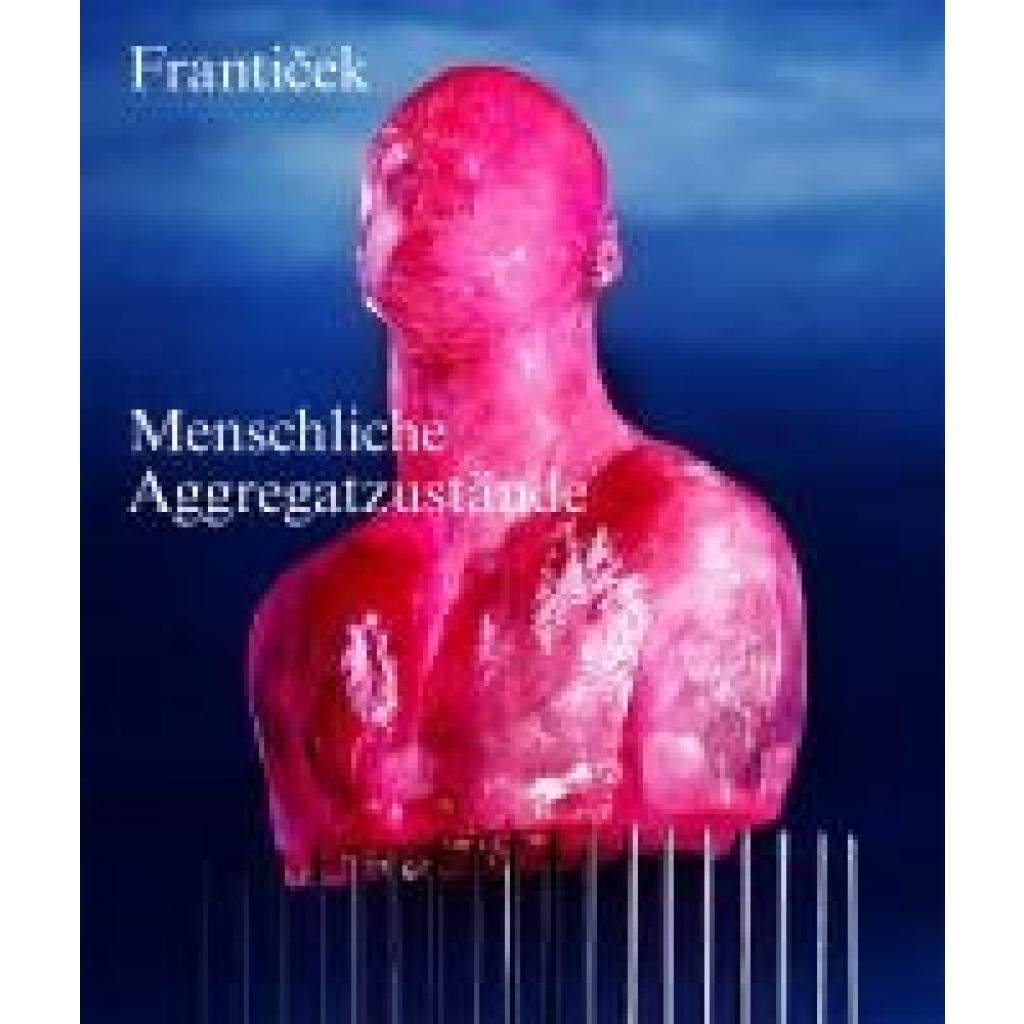 9783039422630 - Frantisek - Menschliche Aggregatzustände