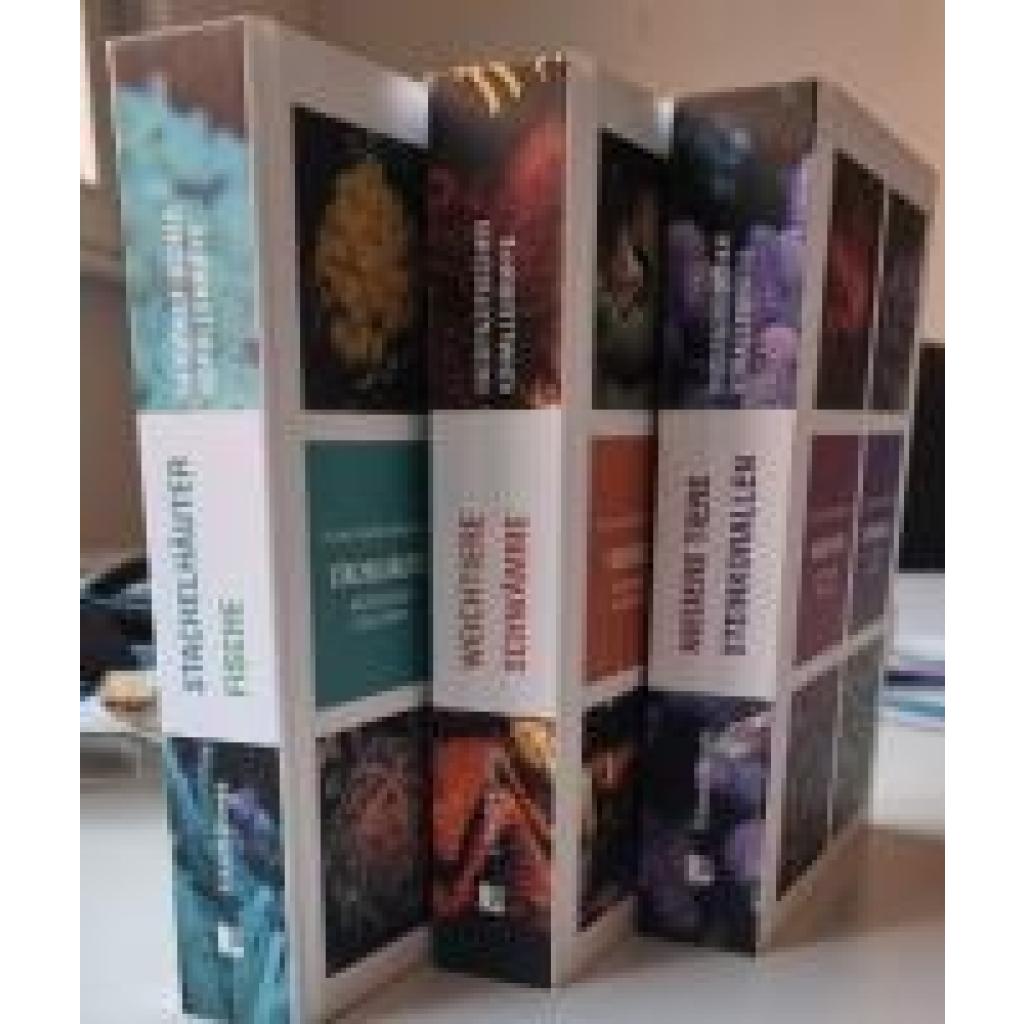 9783965435643 - Erhardt Harry Steinkorallen Niedere Tiere Weichtiere Schwämme Stachelhäuter Fische indopazifischer Korallenriffe