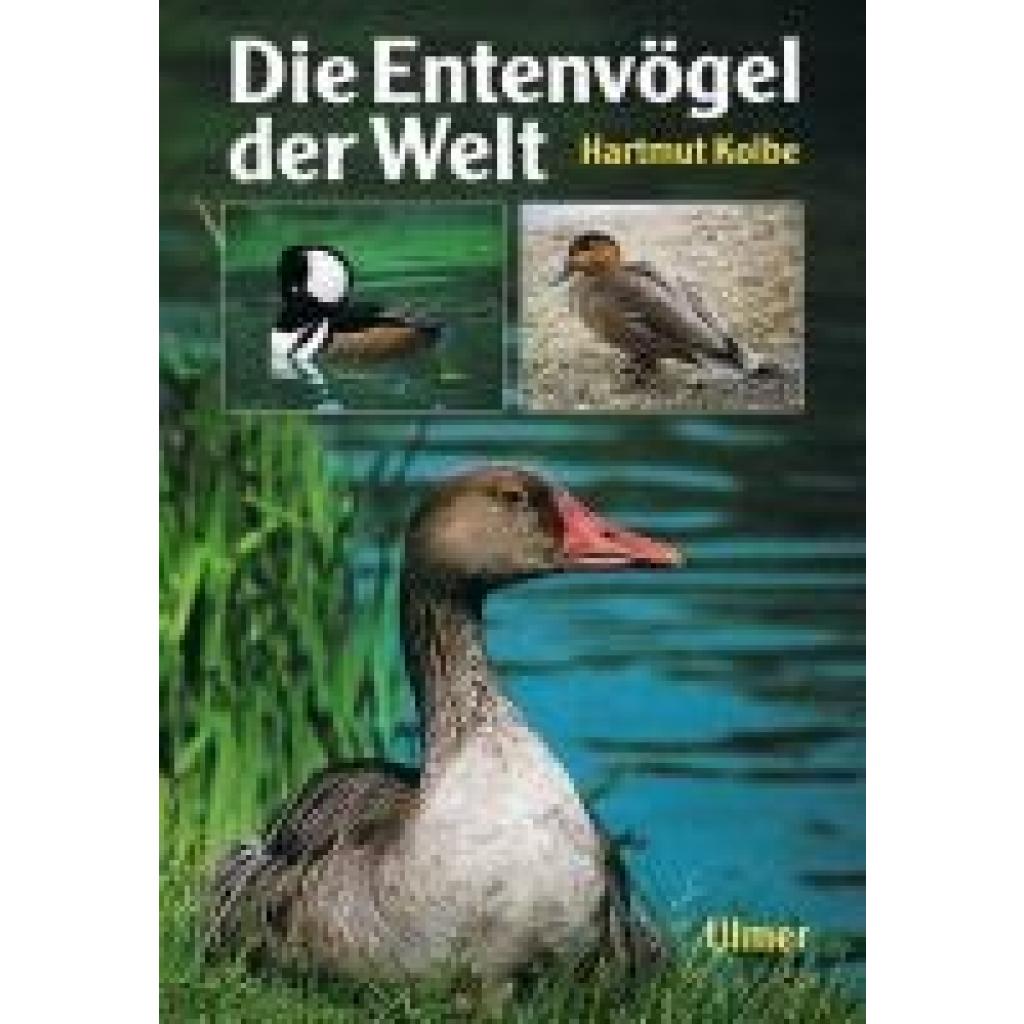 9783800174423 - Die Entenvögel der Welt - Hartmut Kolbe Gebunden