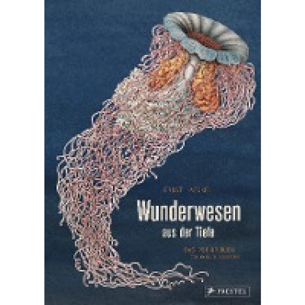 9783791372327 - Wunderwesen aus der Tiefe - Ernst Haeckel Maike Biederstädt Gebunden