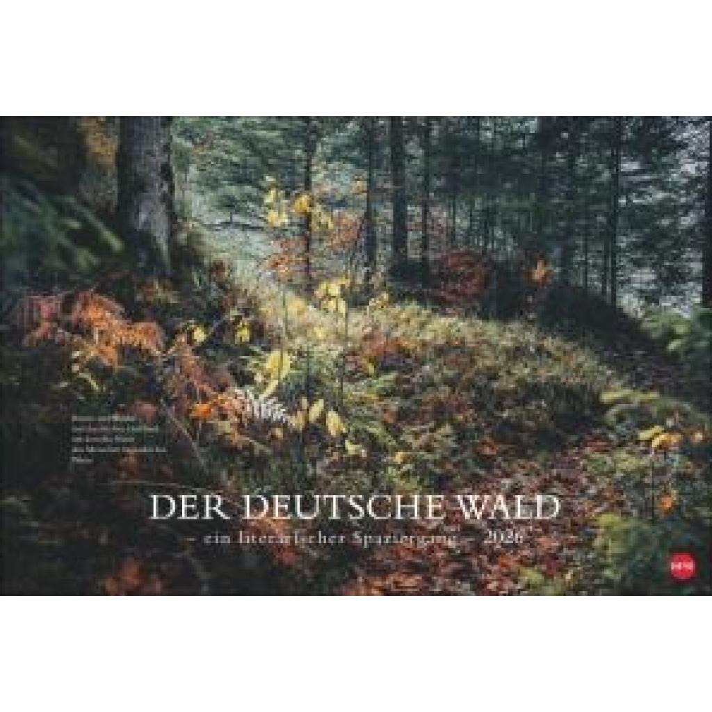 9783756410910 - Der deutsche Wald - Ein literarischer Spaziergang Kalender 2026 - Ein literarischer Spaziergang