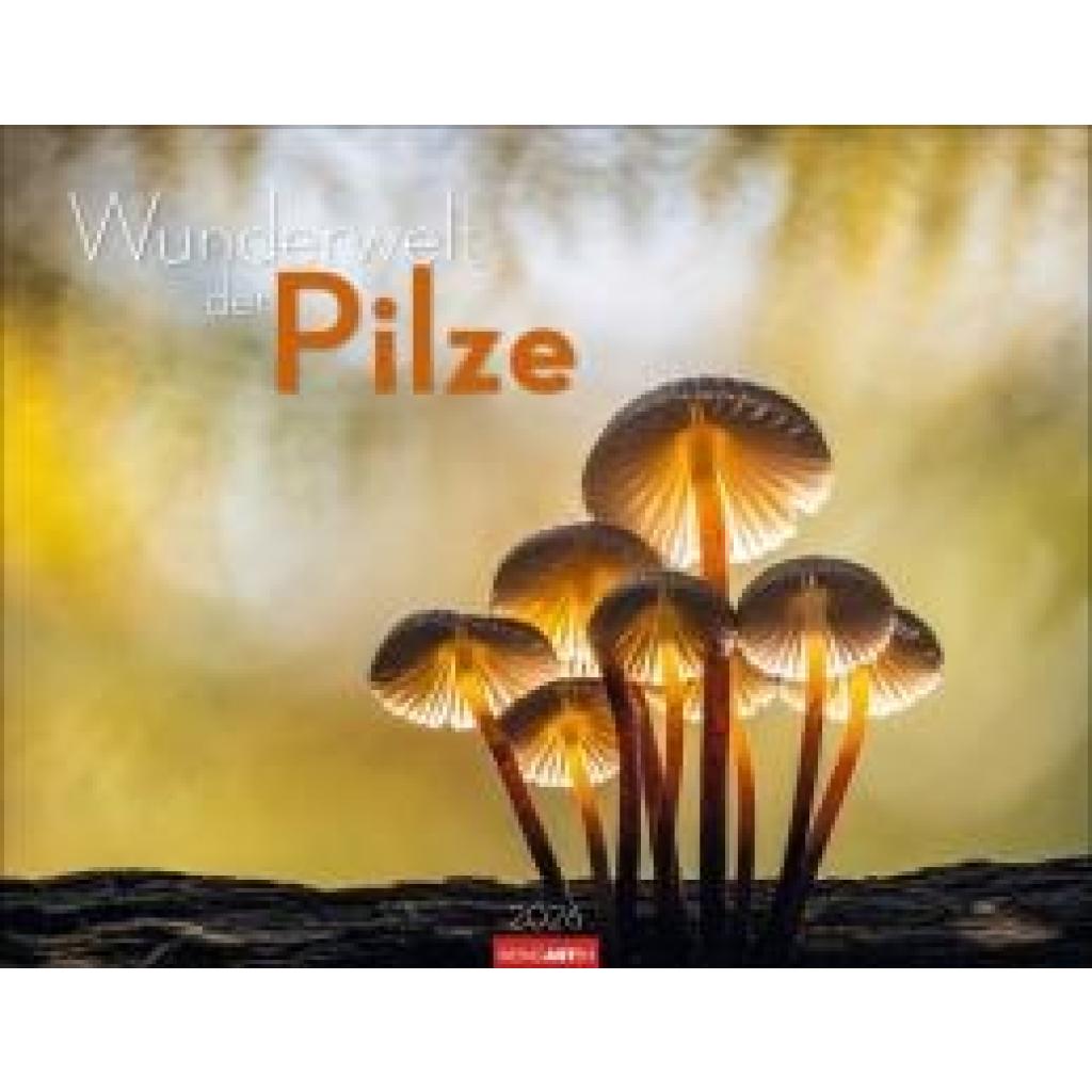9783839903100 - Wunderwelt der Pilze Kalender 2026