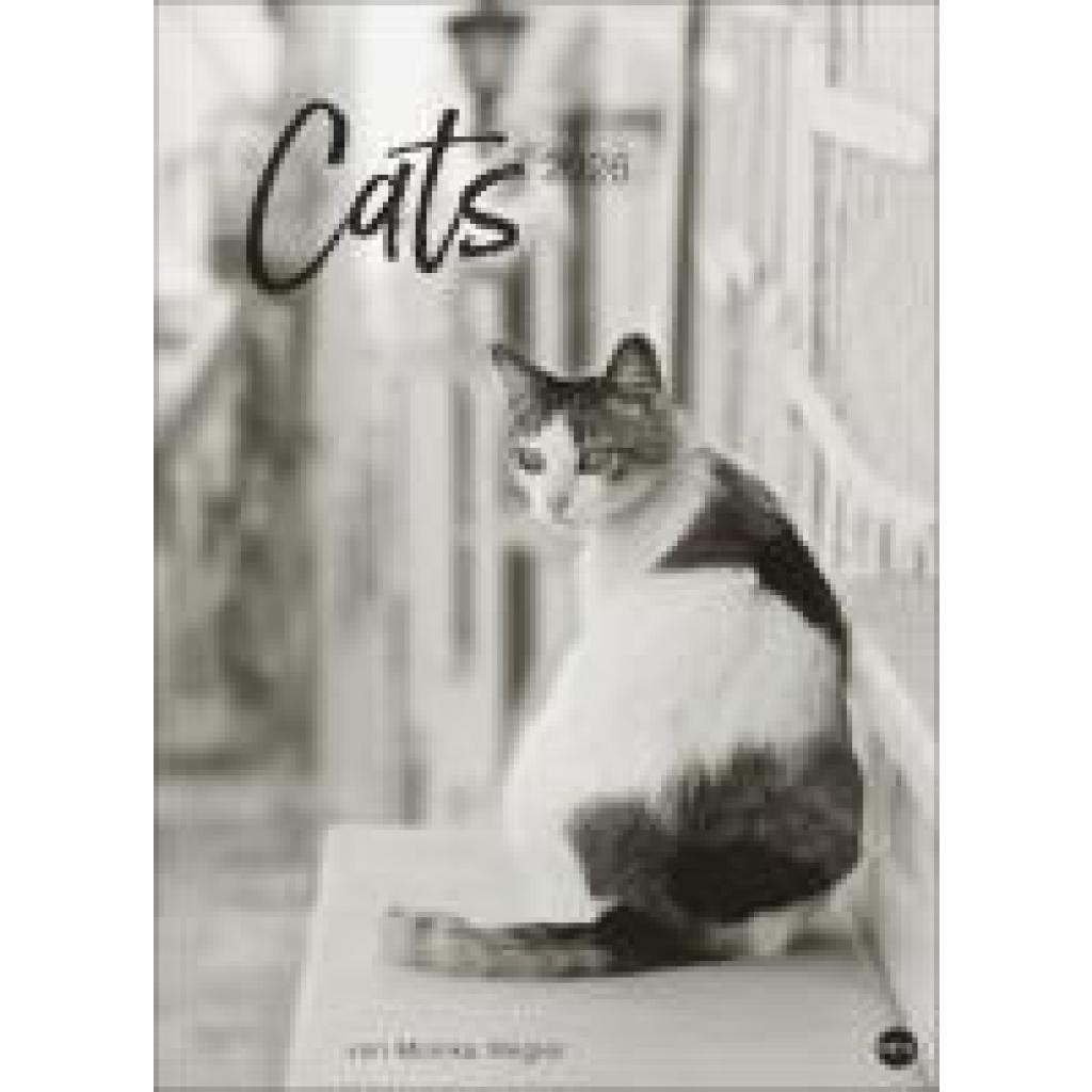 9783756411313 - Cats Edition Kalender 2026