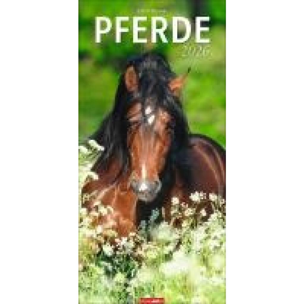 9783839903032 - Pferde Kalender 2026 9783839903032 - Pferde Kalender 2026