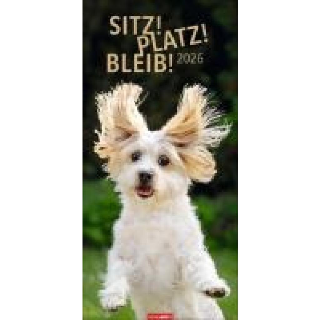 9783839902875 - Sitz! Platz! Bleib! Kalender 2026