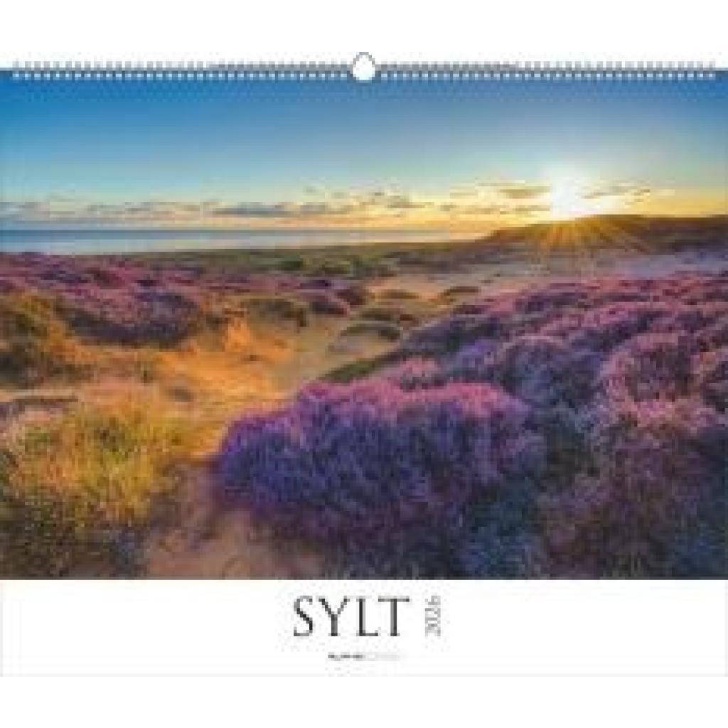 4069095005785 - Sylt 2026 - Bildkalender XXL 60x50 cm - hochwertiger Wandkalender im Querformat - Landschaftskalender - Wandplaner - Deutsche Küsten