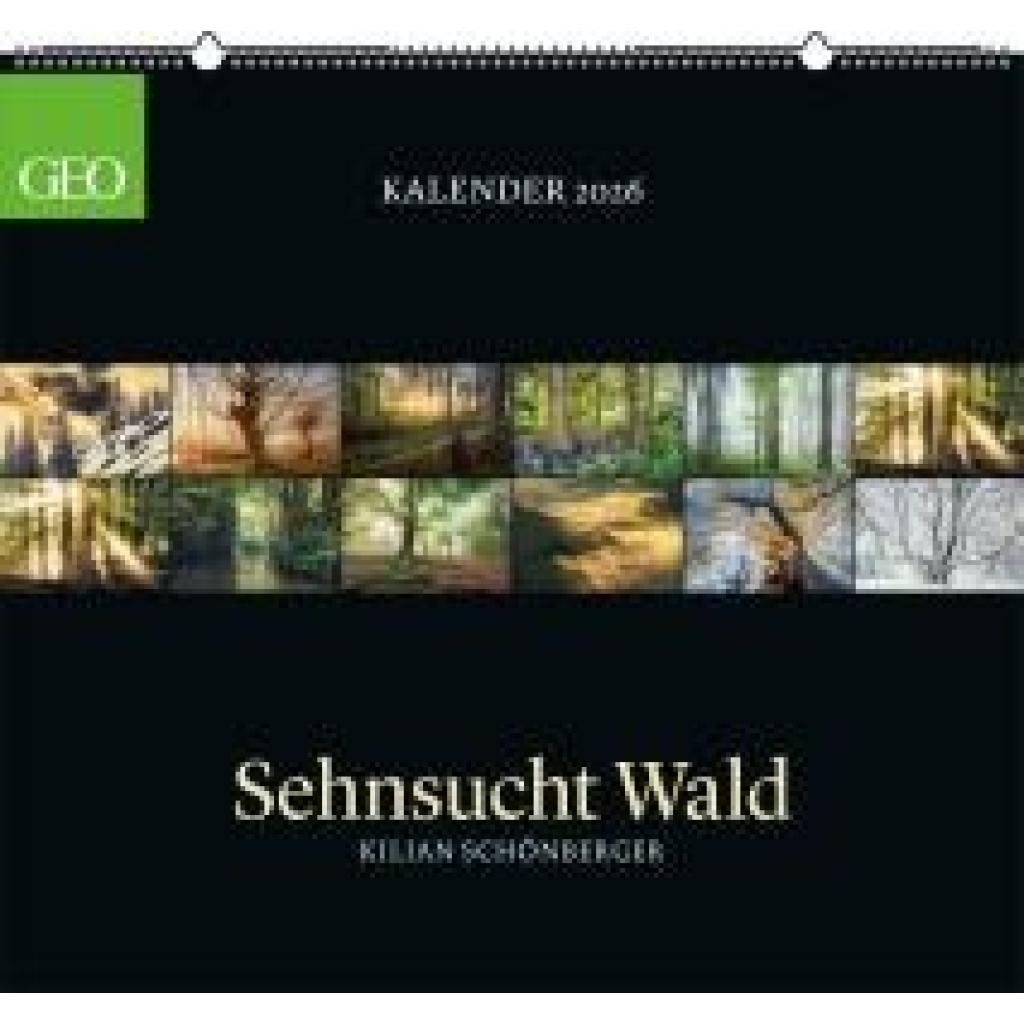 4069095004221 - GEO Kalender Sehnsucht Wald 2026 - Wand-Kalender - Natur-Kalender - 60x55