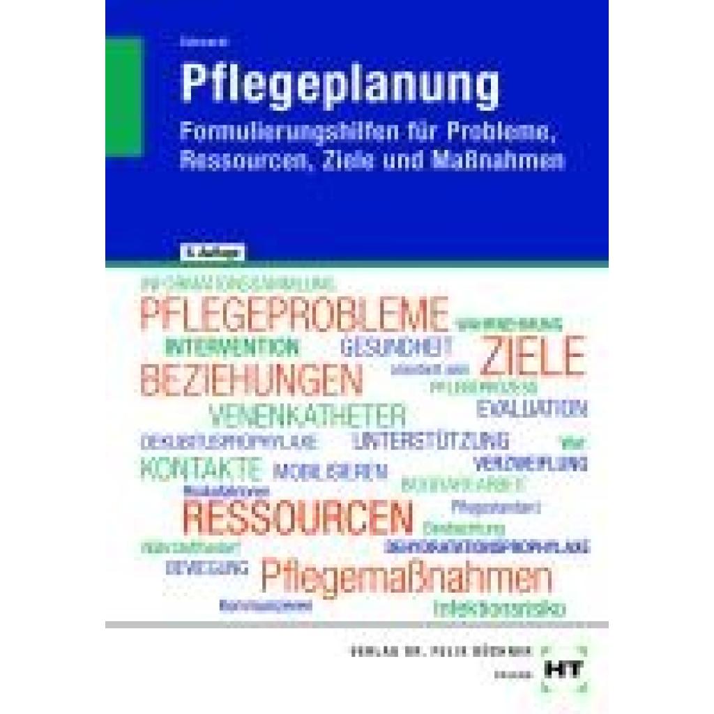 9783582665379 - Schwerdt Christine Pflegeplanung
