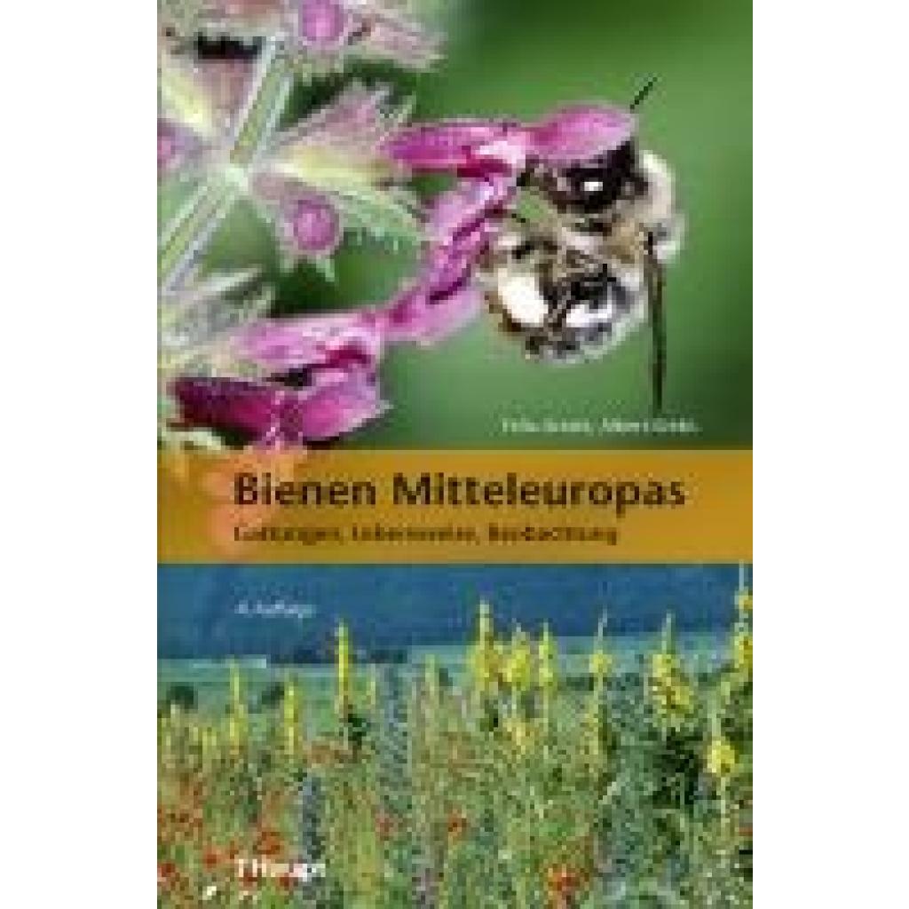 9783258084312 - Amiet Felix Bienen Mitteleuropas