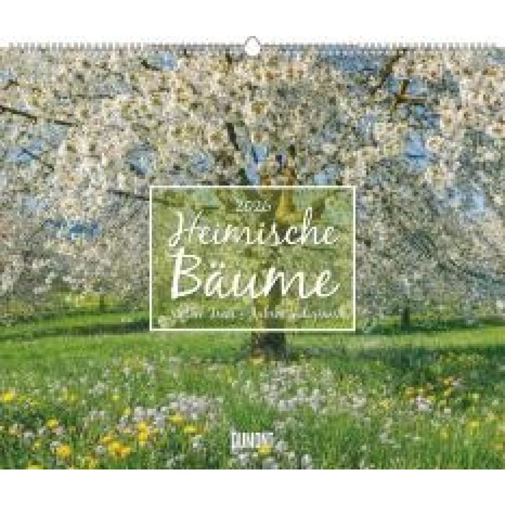 4069095003644 - Heimische Bäume 2026 - Wandkalender 60x50 cm - Spiralbindung