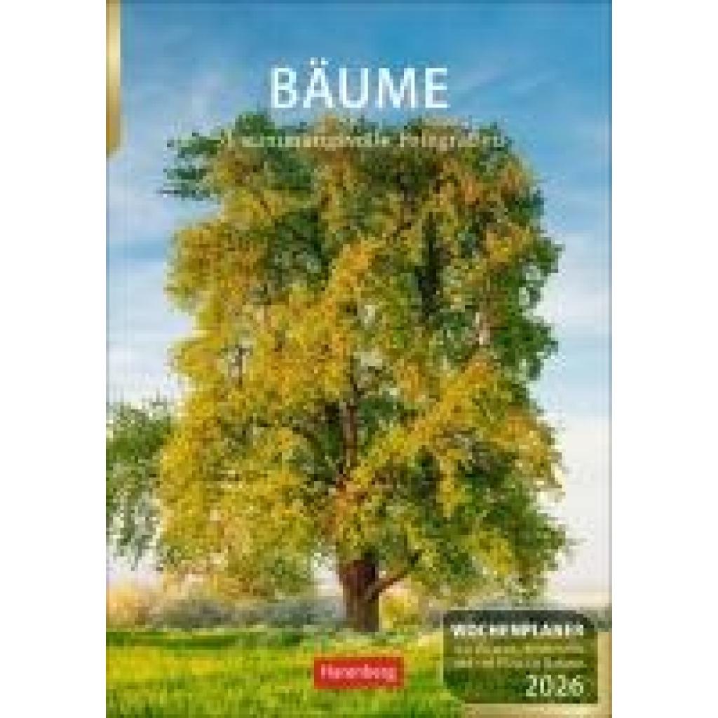 9783840036644 - Spohn Margot Bäume Wochenplaner 2026 - 53 stimmungsvolle Fotografien