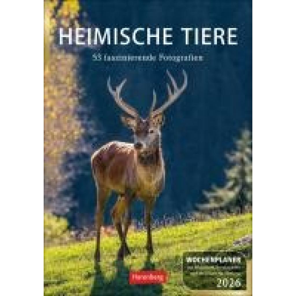 9783840036279 - Hattstein Markus Heimische Tiere Wochenplaner 2026 - 53 faszinierende Fotografien