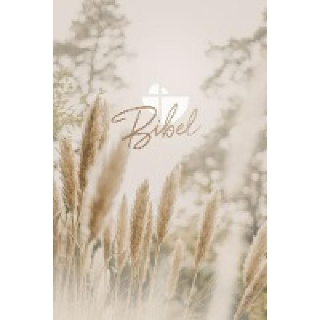 9783866990302 - Schlachter 2000 Bibel - Taschenausgabe (Hardcover farbiger Einband Pampasgras)