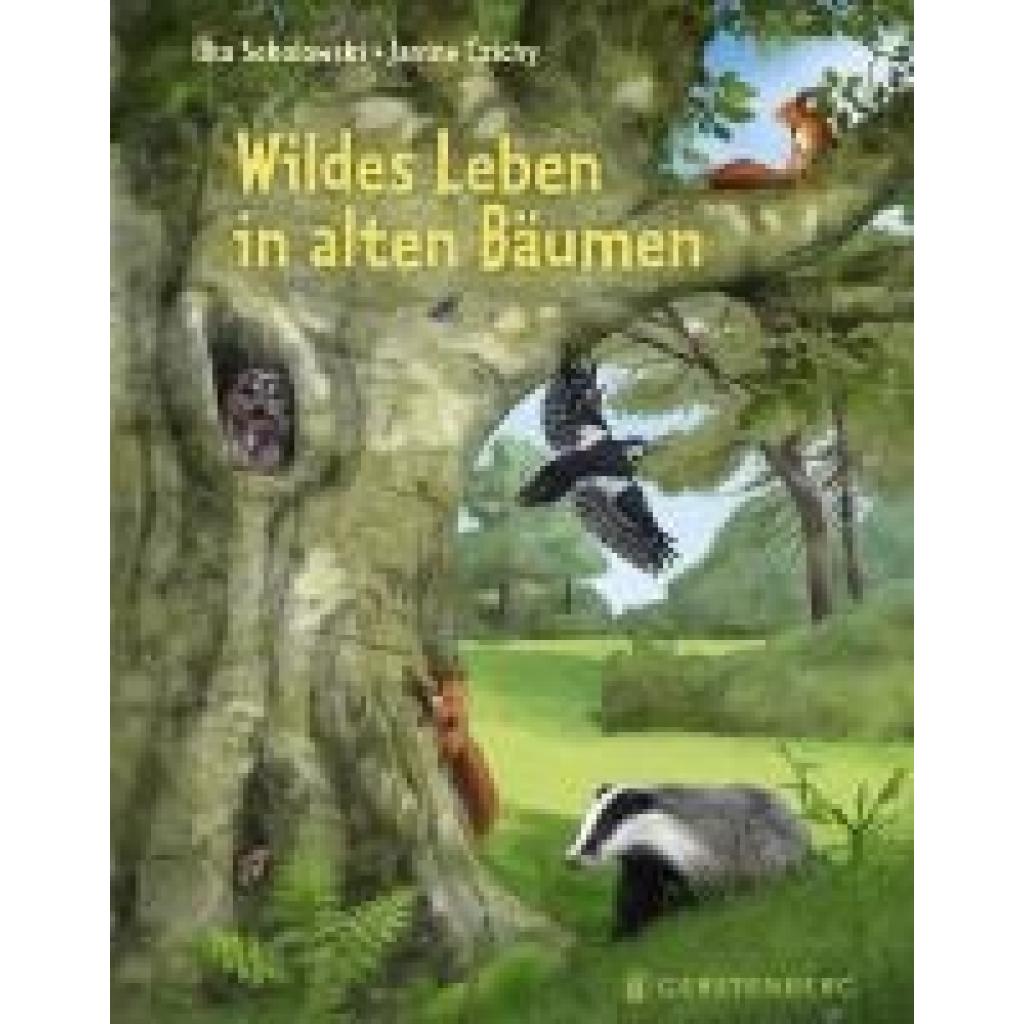 9783836962230 - Sokolowski Ilka Wildes Leben in alten Bäumen 9783836962230 - Sokolowski Ilka Wildes Leben in alten Bäumen