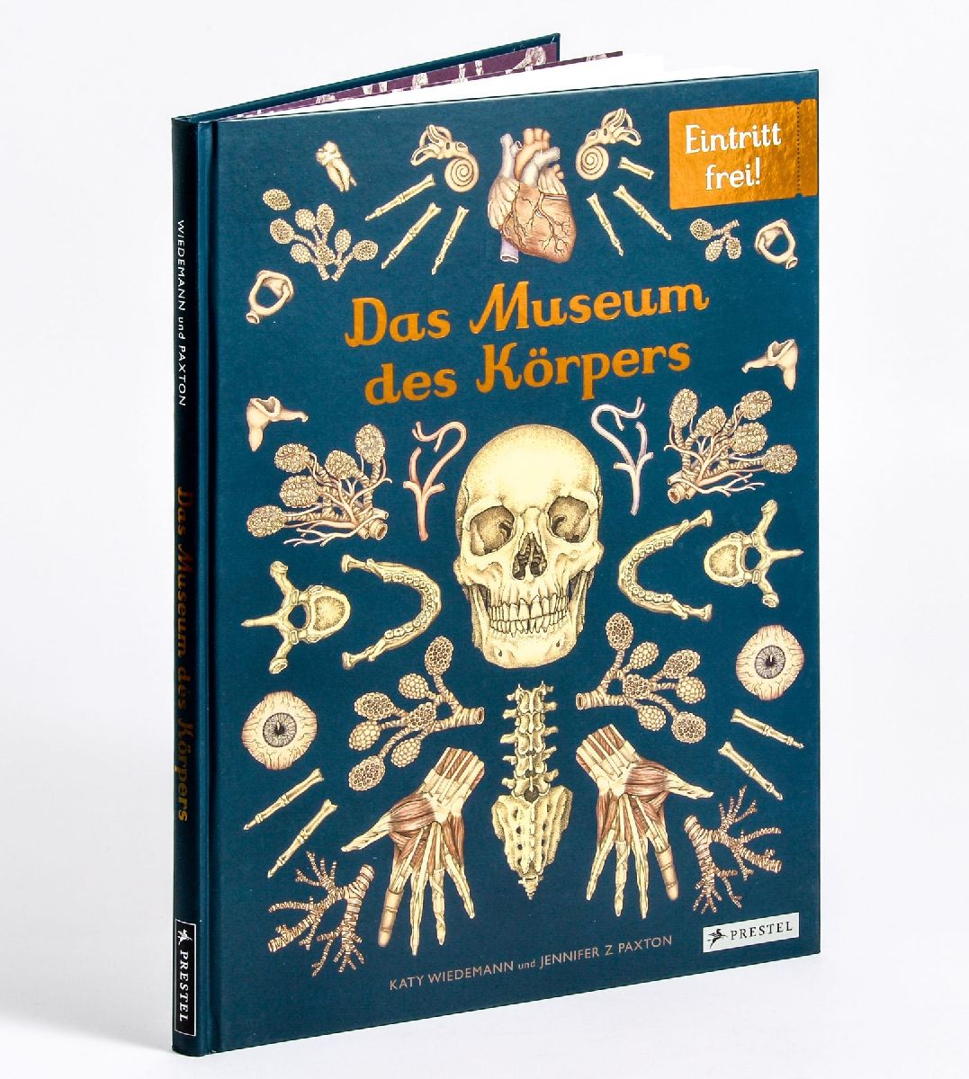 Das Museum des Körpers