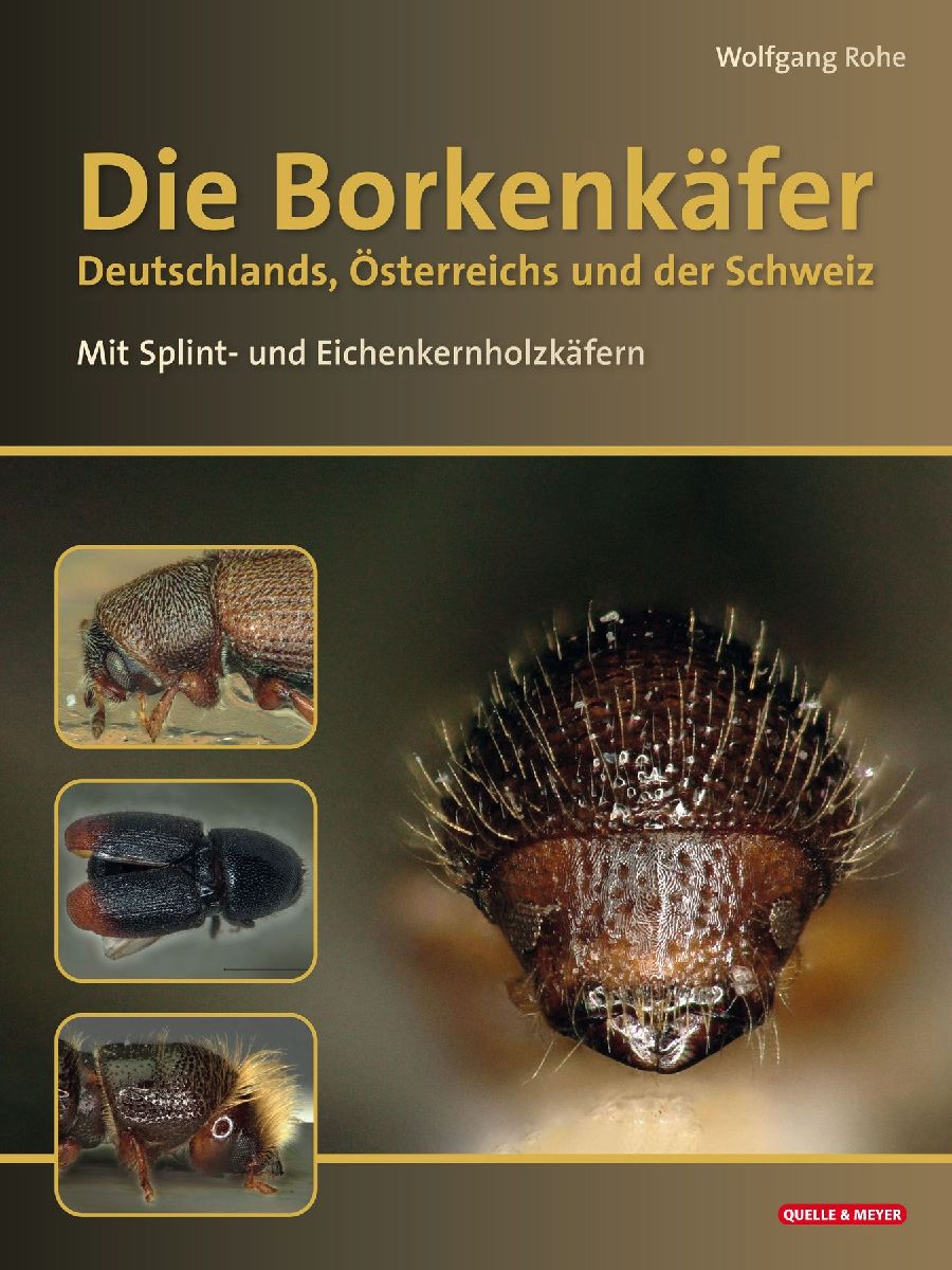 Die Borkenkäfer Deutschlands, Österreichs und der Schweiz