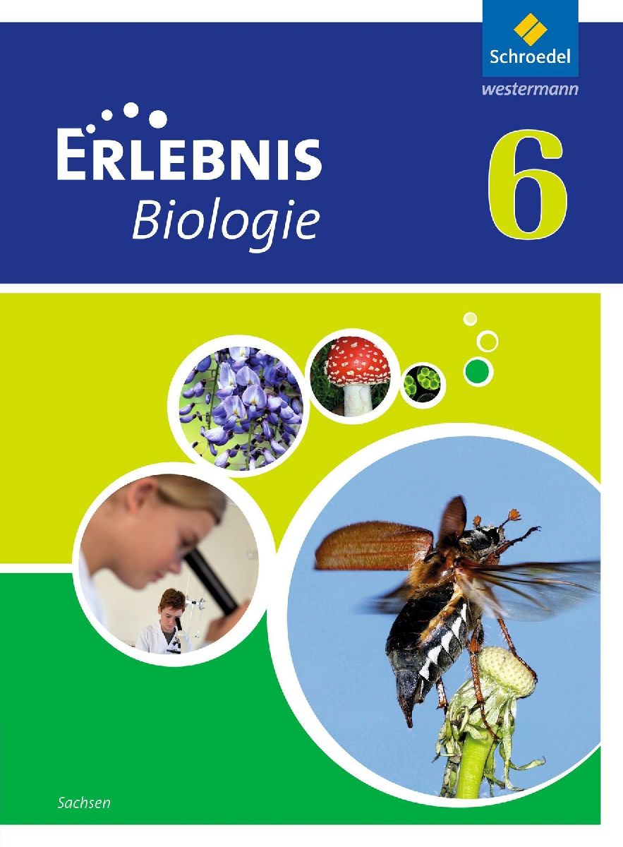 Erlebnis Biologie 6. Schulbuch. Sachsen
