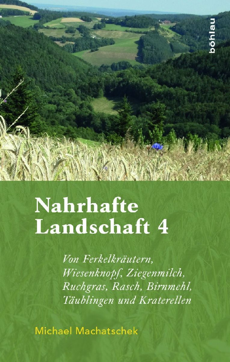 Nahrhafte Landschaft 4