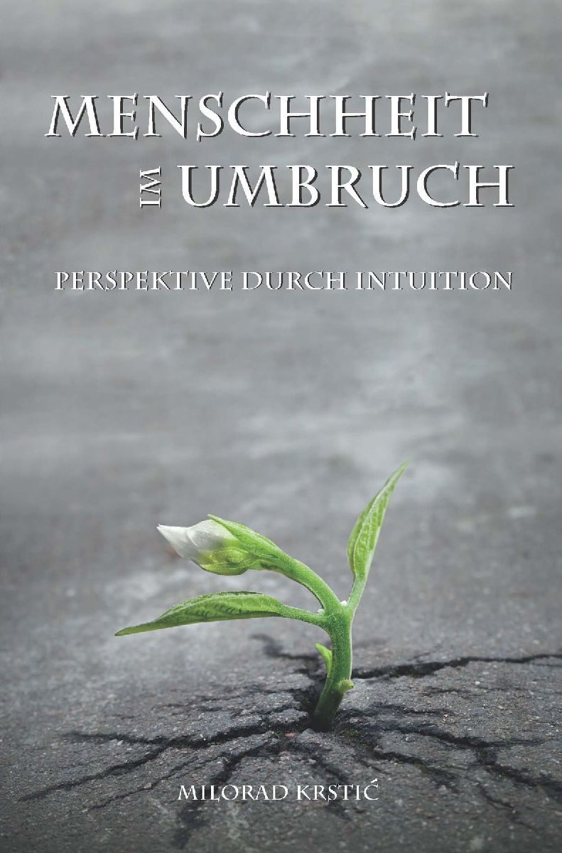 Menschheit im Umbruch. Perspektive durch Intuition