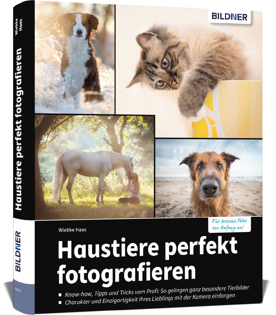 Haustiere perfekt fotografieren