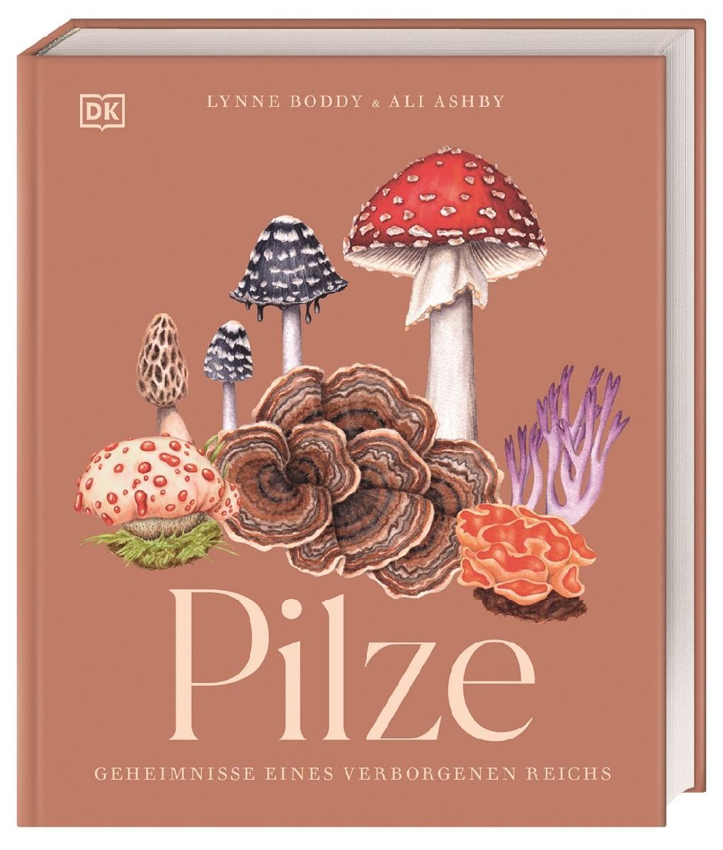 Pilze