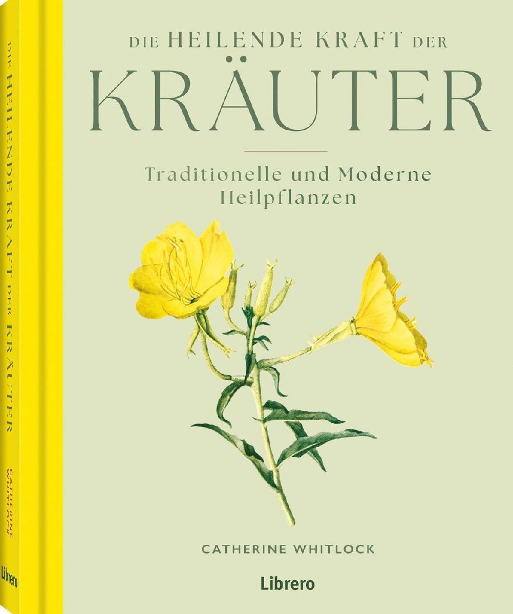 Die heilende Kraft der Kräuter