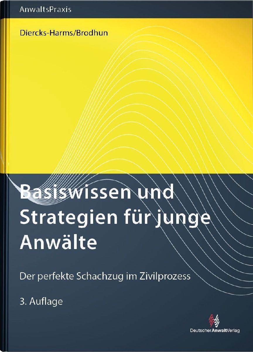 Basiswissen und Strategien für junge Anwälte
