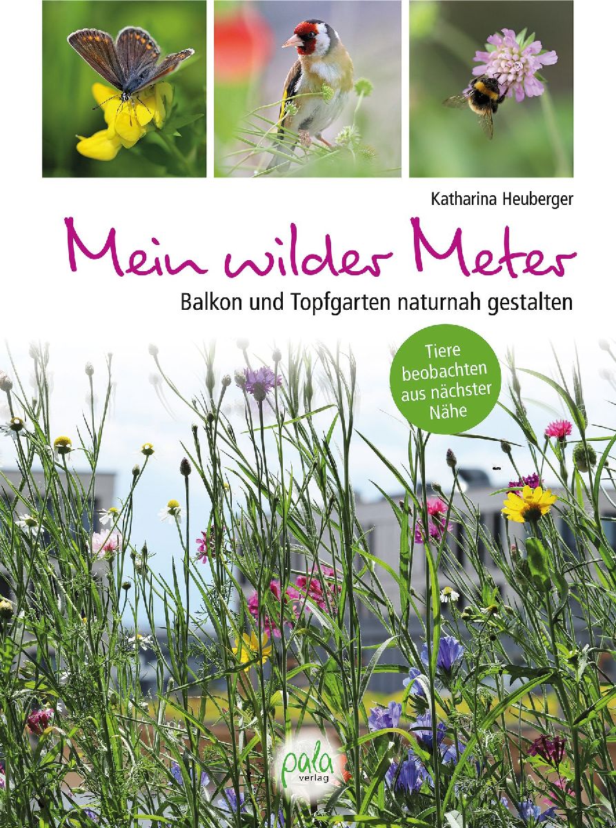 Mein wilder Meter