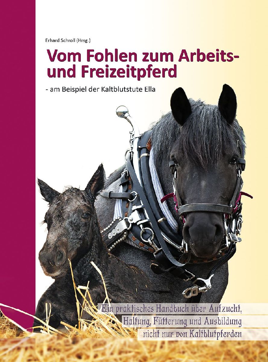 Vom Fohlen zum Arbeits- und Freizeitpferd