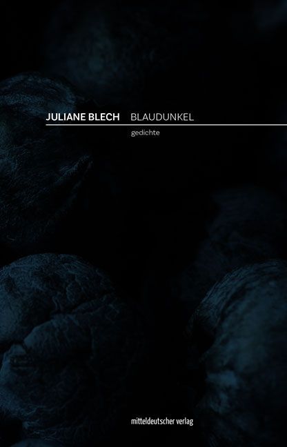 Blaudunkel