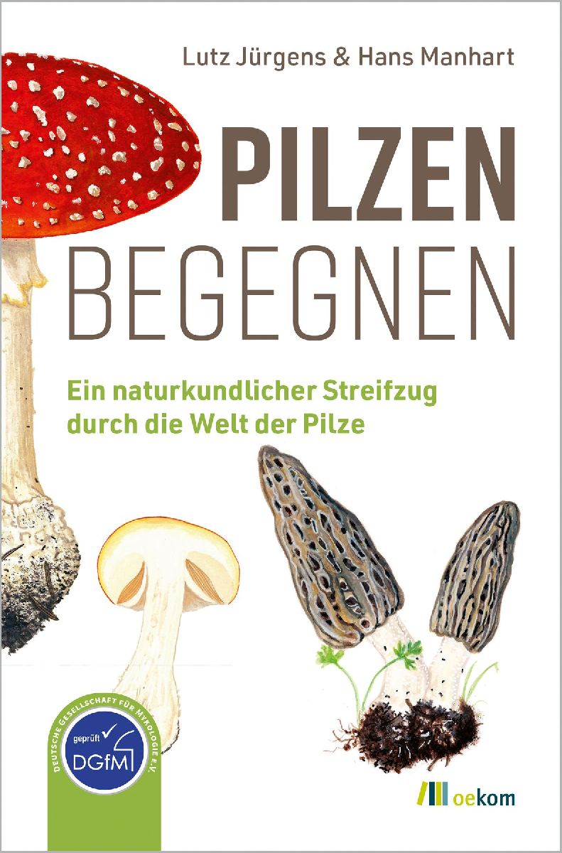 Pilzen begegnen