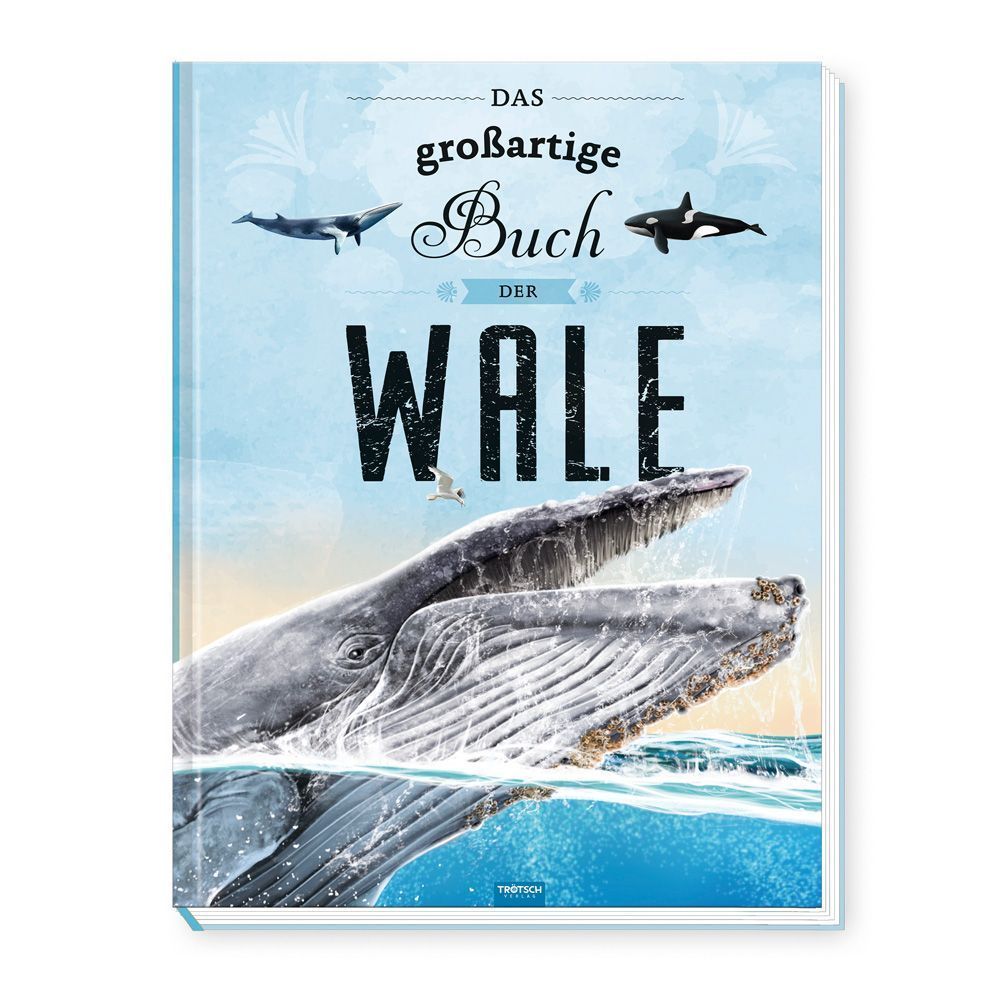 Trötsch Kinderbuch Das großartige Buch der Wale| Ab 8 Jahren